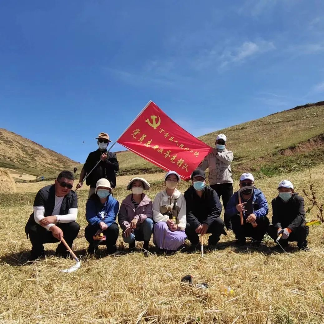 真情帮扶解民忧 助农收割暖人心