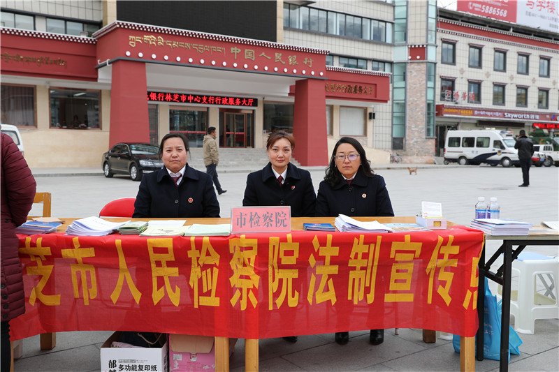 林芝市院组织干警进行法制宣传